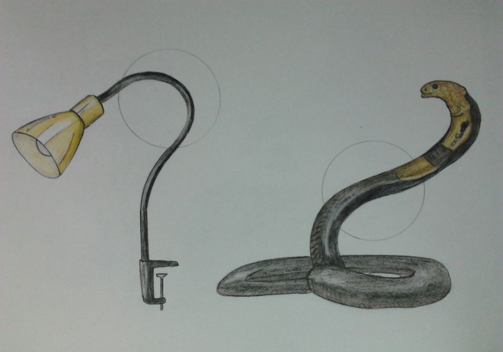 рис5.jpg